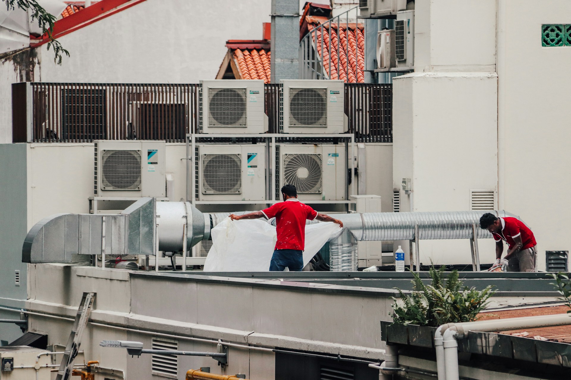 Two men standing on top of a building